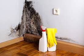 Best Environmental Consulting for Mold Prevention  in Vivian, LA